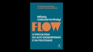Resumo do Livro Flow