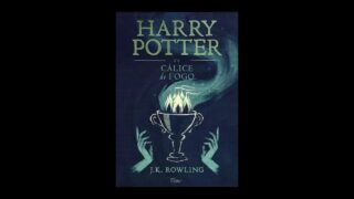 Resumo do Livro Harry Potter e o Cálice de Fogo