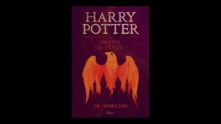 Resumo do Livro Harry Potter e a Ordem da Fênix